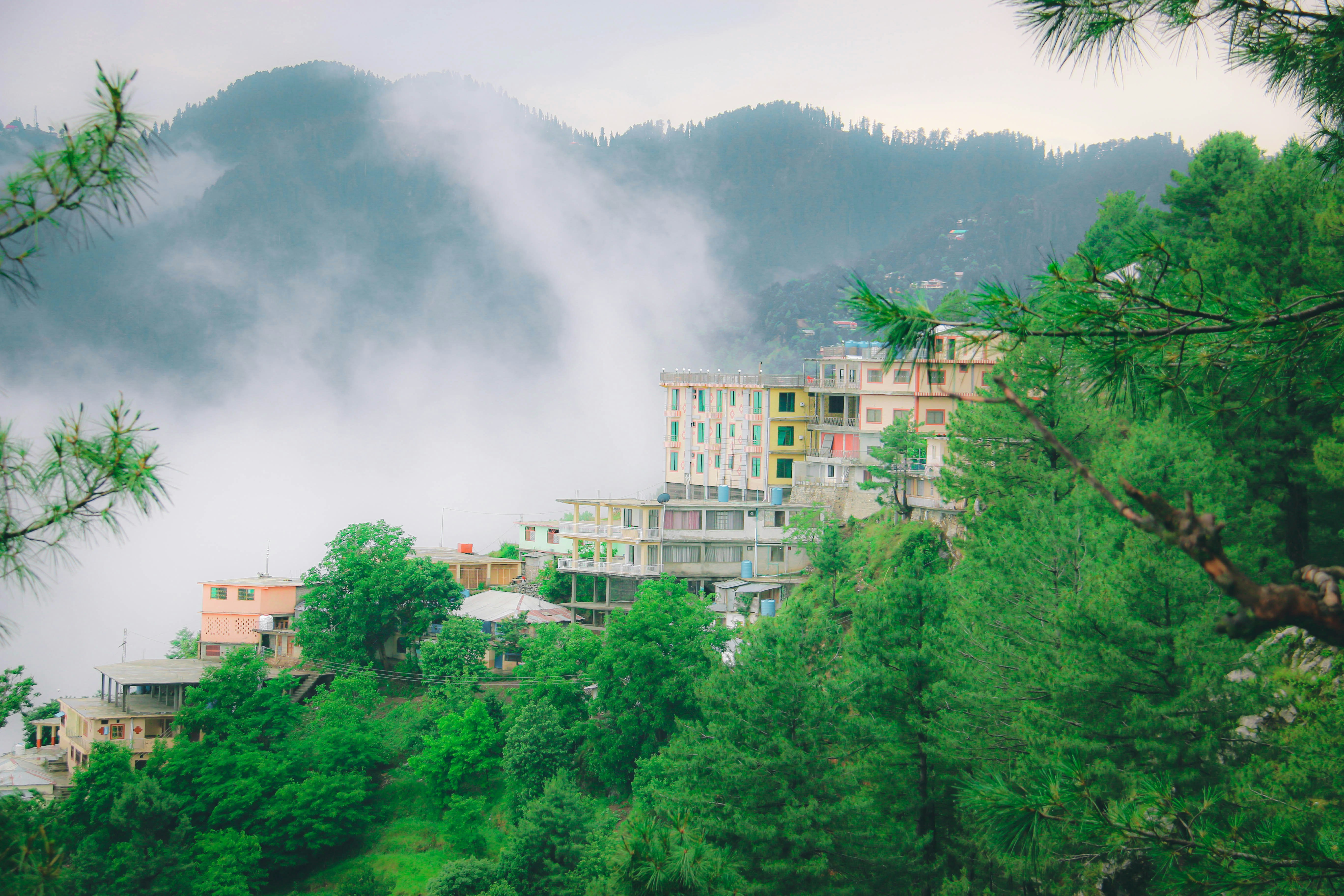 Murree