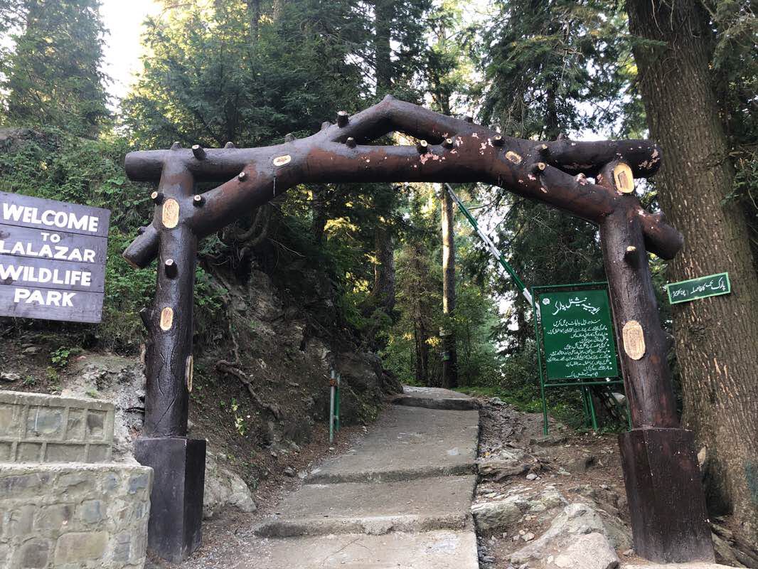 Explore Natures Beauty  Best Places To Visit In Nathia Gali