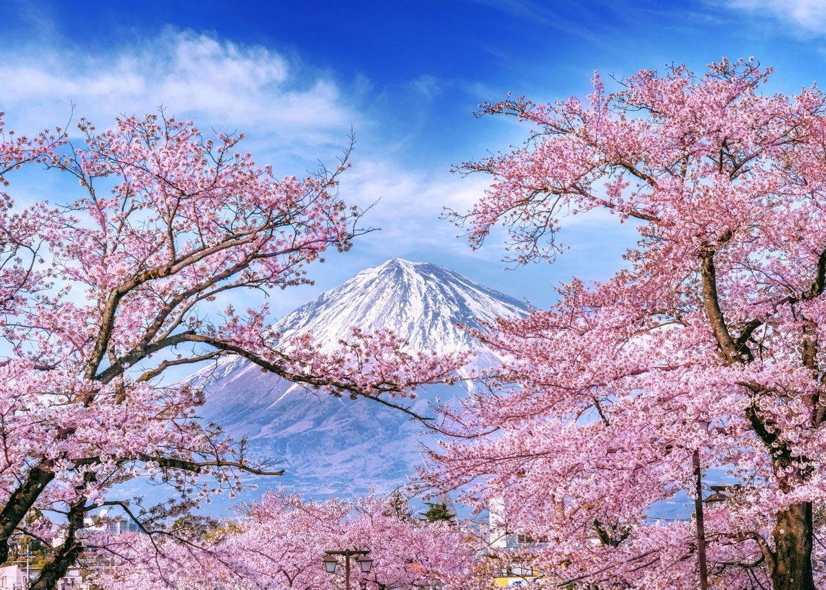 Explore Blossom Season In Hunza & Skardu With Fly Pakistan