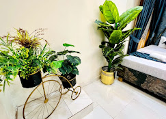 Hotel New Royal Palace