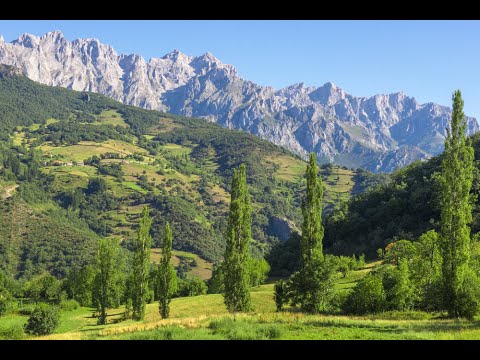 Things to do - Kohat