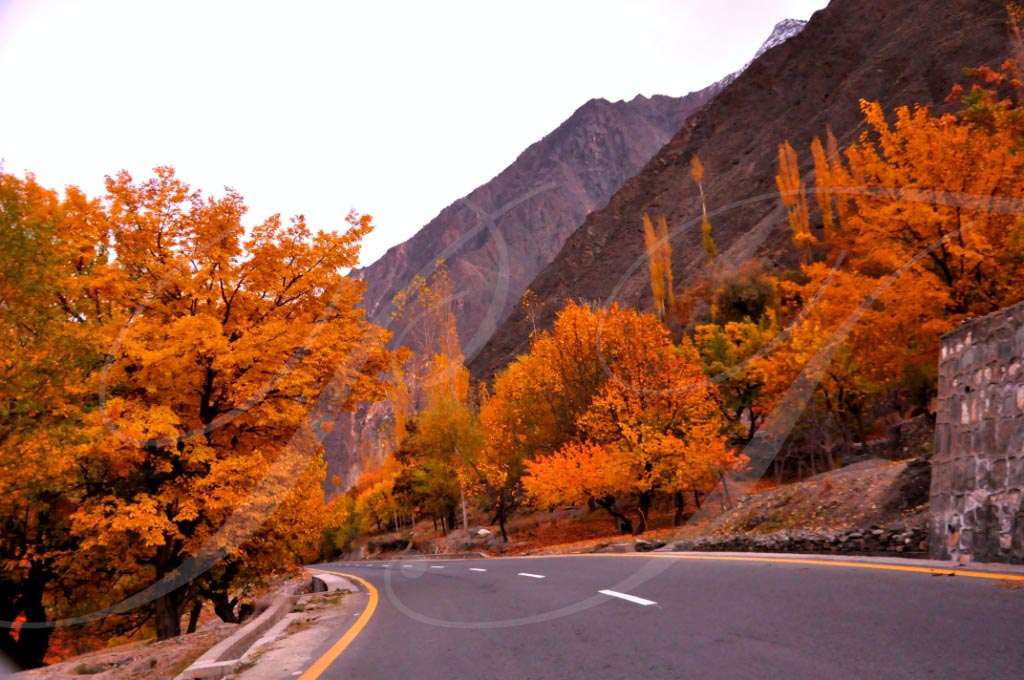 Things to do - NAGAR