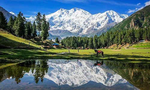 Experience Comfort & Affordability - Discover The Best Hotels In Chilas, Pakistan