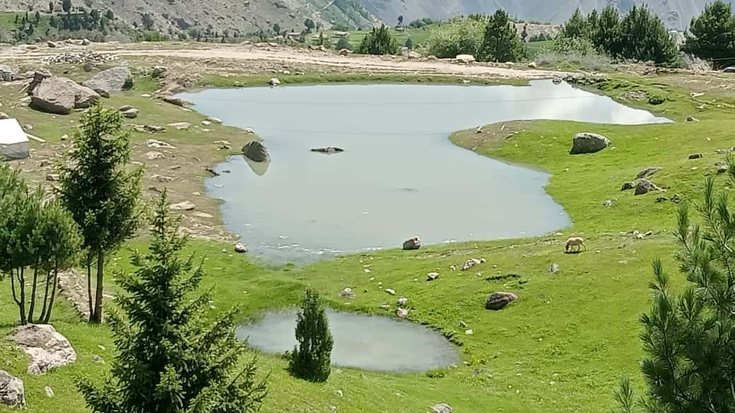 Green View Hotel Rama Meadows