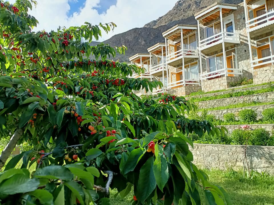Eagle Nest Hunza