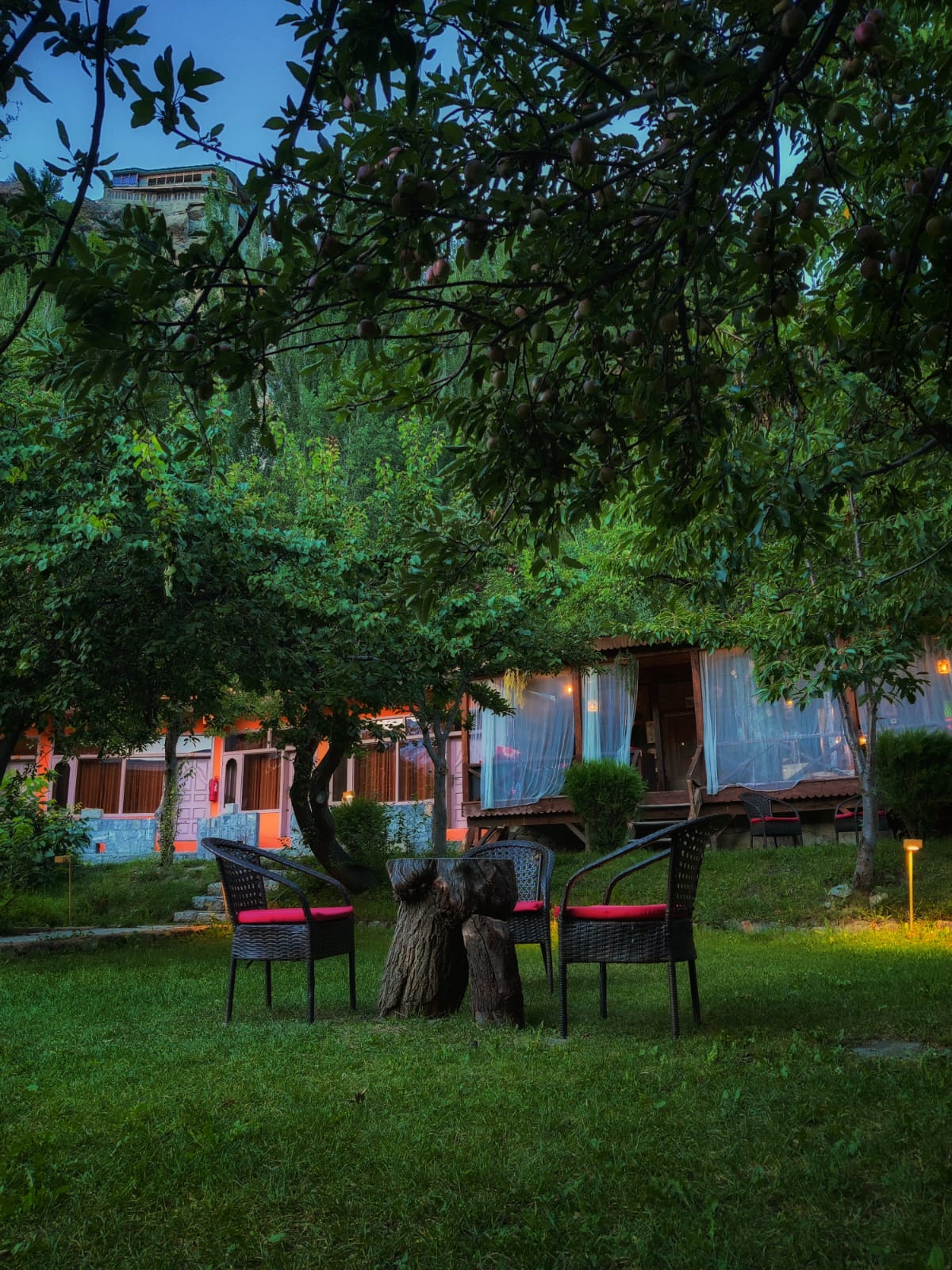 NS Hunza - Northern Sapphire Hunza