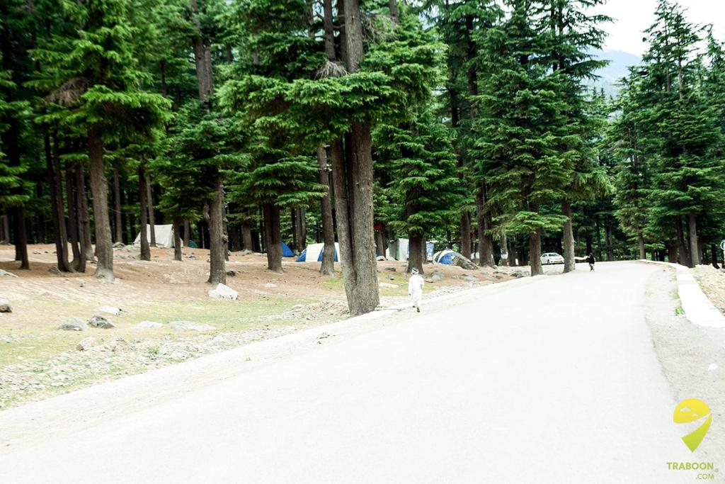 Relax Cottage Kalam