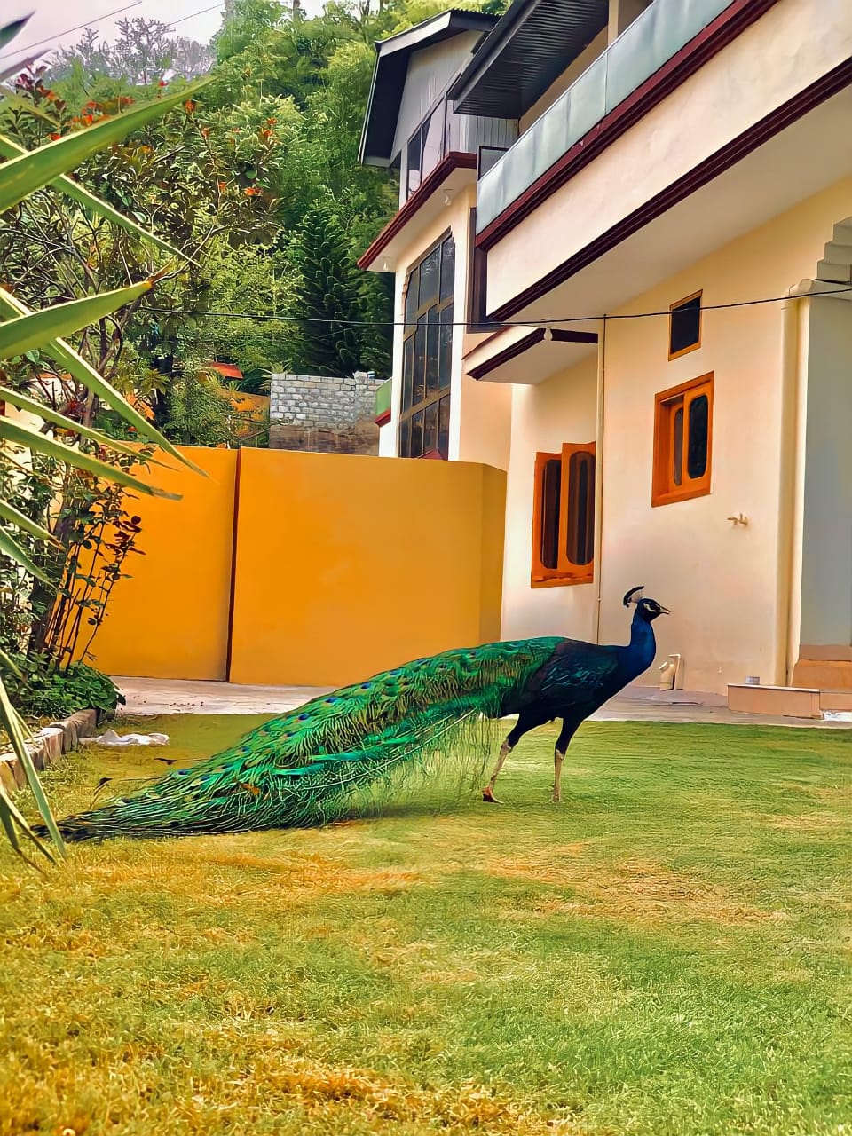 Green Residency Muzaffarabad