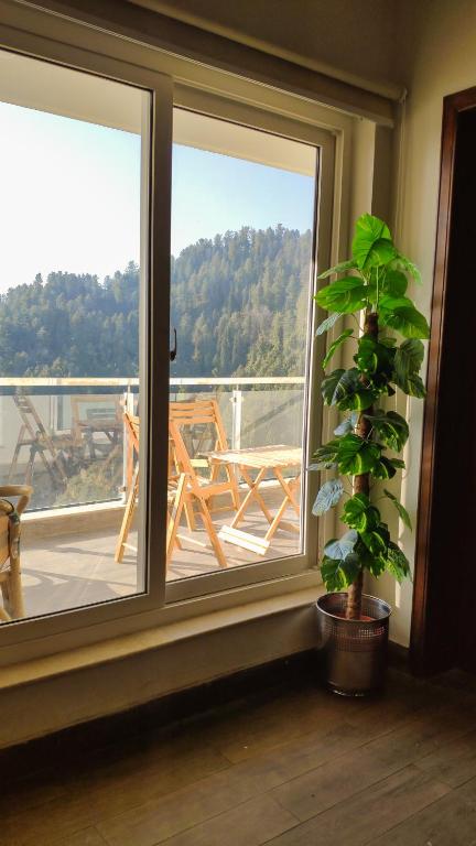 Bellevue Luxury Apartments