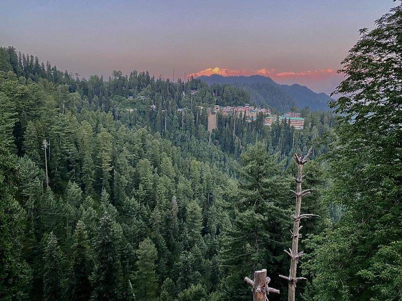 Fogland Hotel Nathia Gali