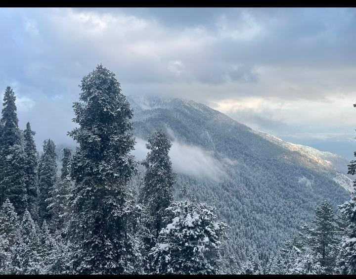 Qubed Nathiagali