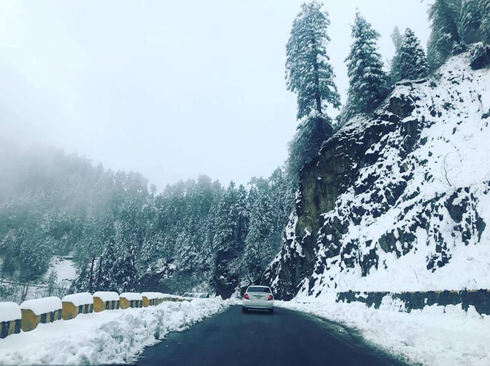 Shangrila Hotel and Resort Changla Gali