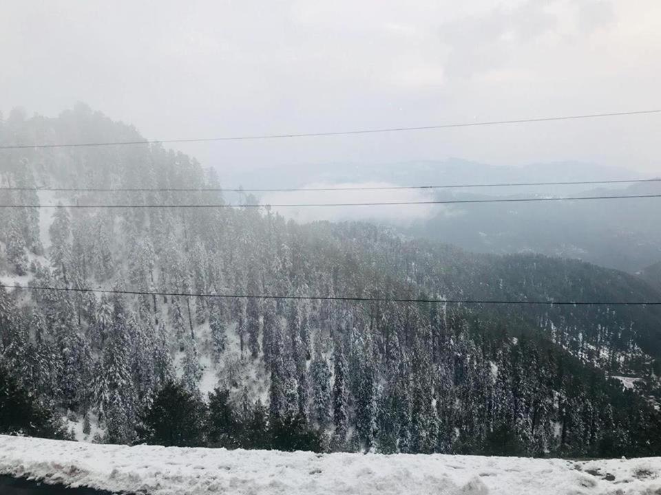 Shangrila Hotel and Resort Changla Gali