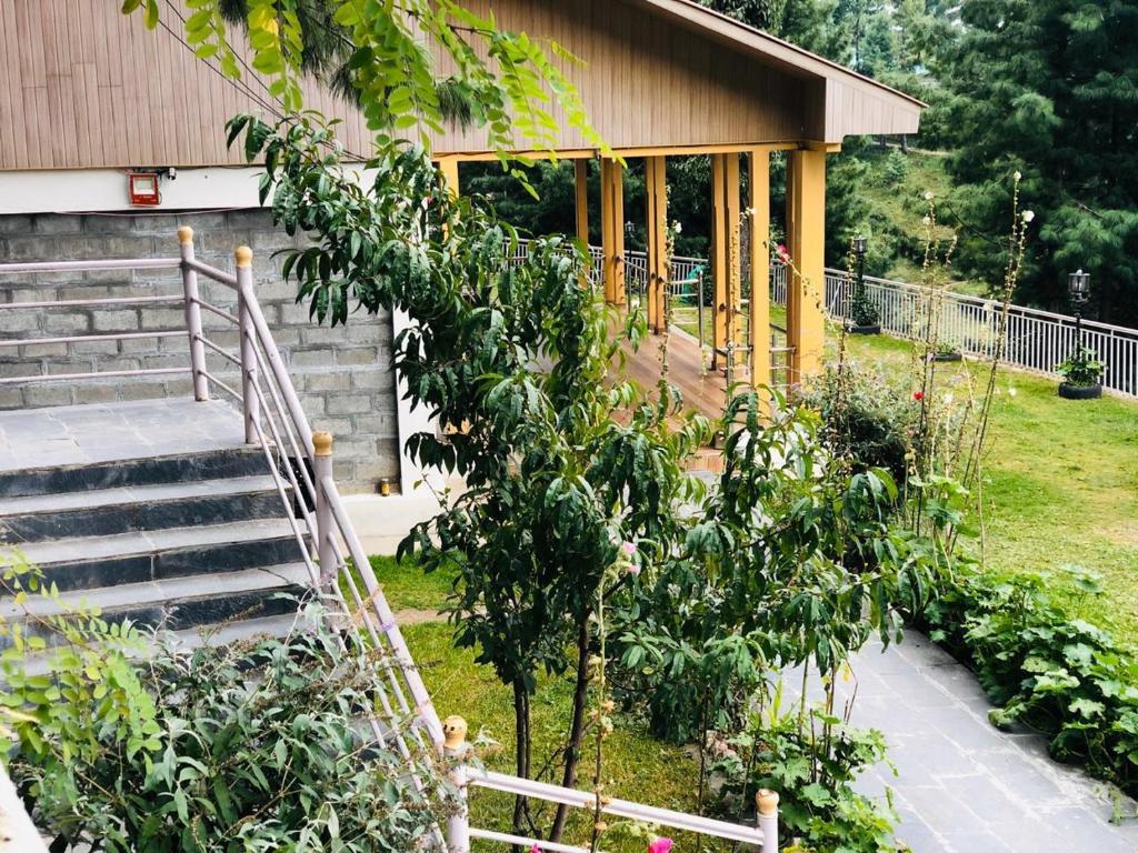 Shimla resort and rest house