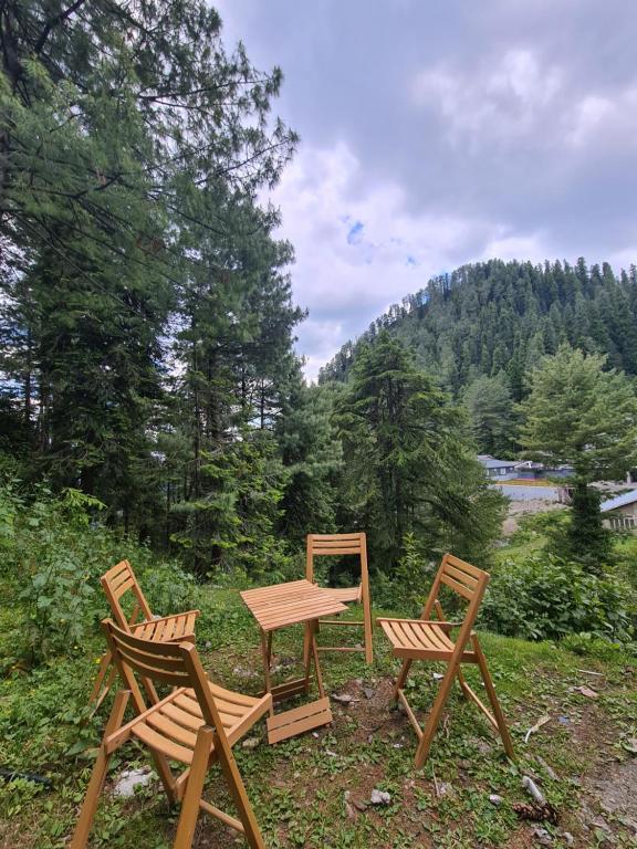 The Holiday Homes
