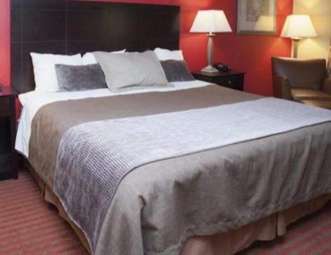 Sheltons Accommodator Peshawar