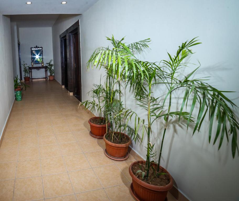 VIP House Peshawar