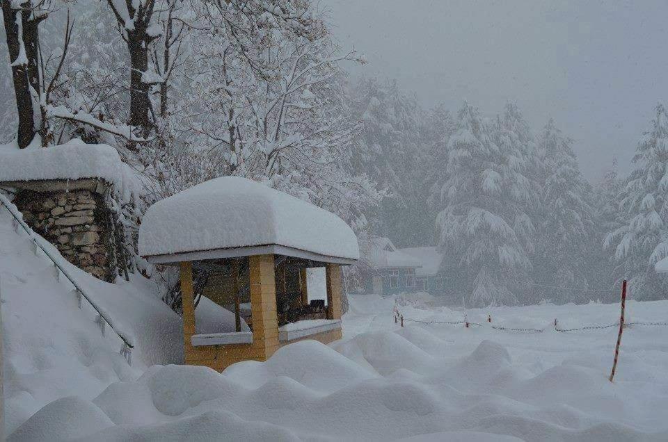 Pine Park Hotel Shogran