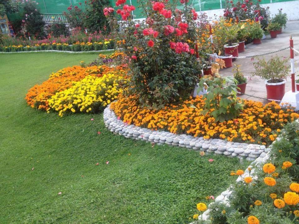 Pine Park Hotel Shogran